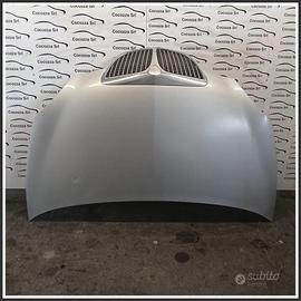 Cofano Motore Anteriore LANCIA Ypsilon I 51872629