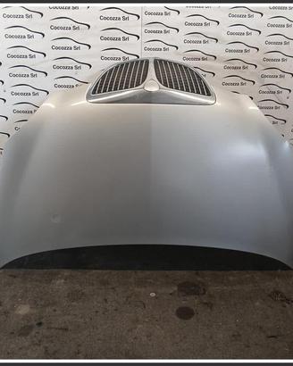 Cofano Motore Anteriore LANCIA Ypsilon I 51872629