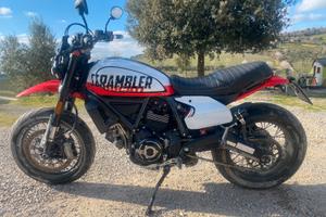 Ducati Scrambler 800