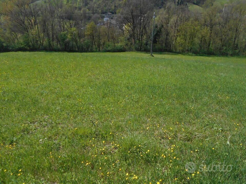 Immobile in asta di 10522 m² a Scandiano - Vista 4