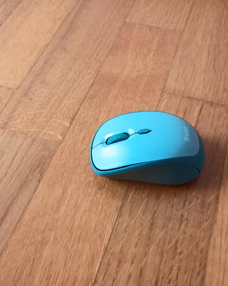 mouse wt
