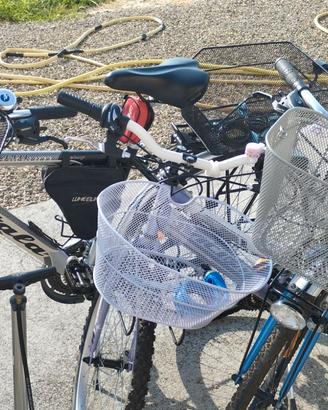 Bicicle - City bike