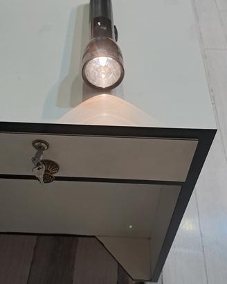 torcia professionale 