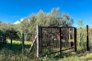 Palestrina terreno agricolo