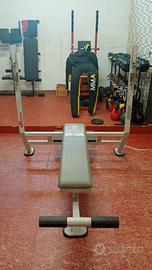 Panca Piana professionale