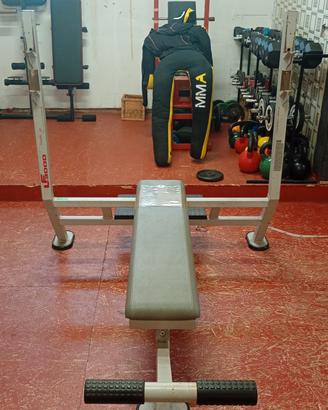 Panca Piana professionale