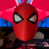 Maschera Spiderman da collezione.