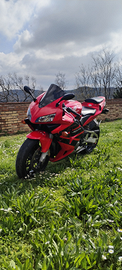 Honda Cbr 600 RR certificata ASI