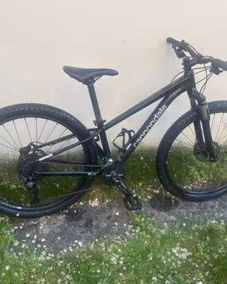 Mountain Bike Cannondale