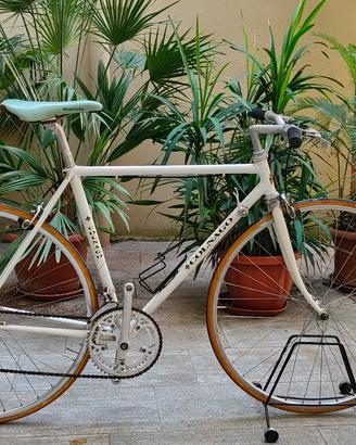 Colnago Bici da Corsa Campagnolo Made in Italy