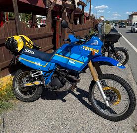 Ténéré Xt600 3AJ dell’89