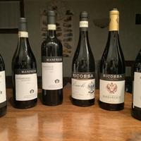 Grandi vini piemontesi