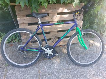 Bicicletta Bianchi aspid  sf 24 velocità