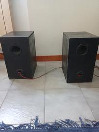 Casse acustiche autocostruite