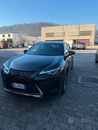 Lexus UX 250h