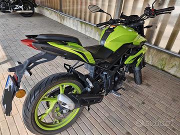 Benelli BN125 2023