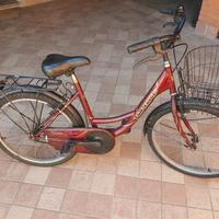 bicicletta 