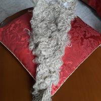 barba lunga carnevale 