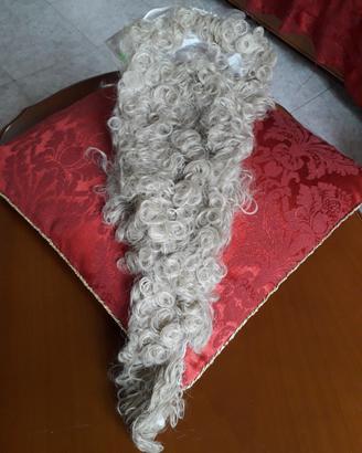 barba lunga carnevale 