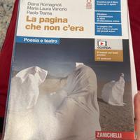 Libro la pagina che non c’era poesia e teatro