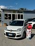 fiat-panda-1-0-hybrid-van-2-posti-n1-autoccarro-