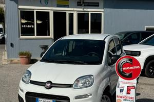 Fiat Panda 1.0 hybrid Van 2 posti N1 (autoccarro)