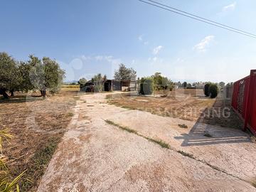 Rustico/Casale/Corte Latina [Cod. rif 3332573VRG]