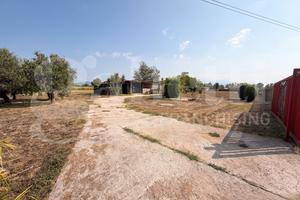 Rustico/Casale/Corte Latina [Cod. rif 3332573VRG]