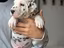 Immagine 5