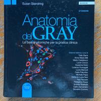 Anatomia del Gray