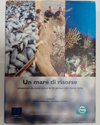 Un mare di risorse