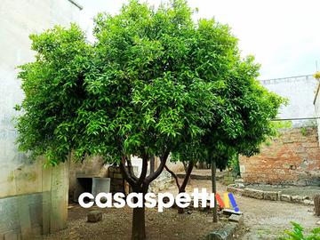 Appartamento di 108 m² con 3 locali a Trepuzzi