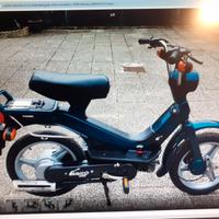 un buon motorino funziona grillo