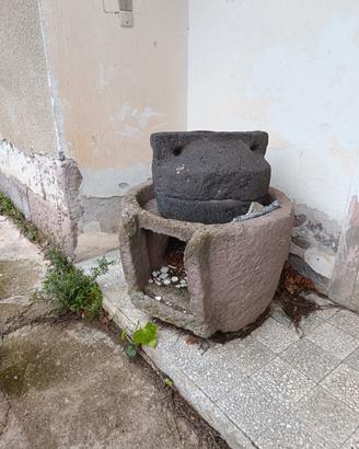 mola sarda 