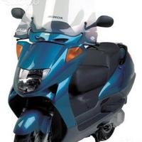 Parabrezza invernale fabbri foresight 250 98 - 06