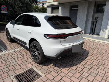 Macan