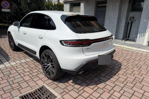 Macan