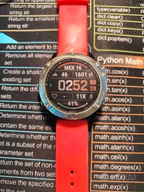Garmin Fenix 6 