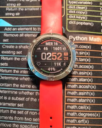 Garmin Fenix 6 