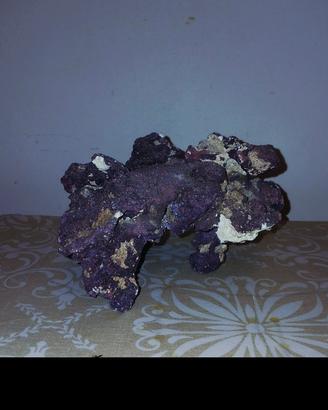 Roccia caribsea