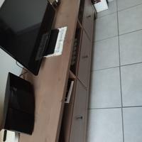 MOBILE TV