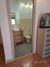 Ampio appartamento ristrutturato