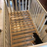 Lettino/Culla marca Pali