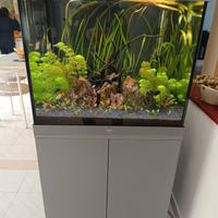 Acquario Juwell lido 200 