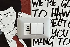 Gemelli San Pietro duck house