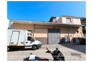 Capannone na 491/2024