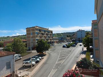 COLLEMARINO solo TRANSITORIO