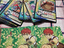 Immagine 6