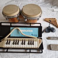 Lotto strumenti musicali base, ideali per bambini