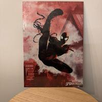 Poster Spiderman da collezione in Acciaio